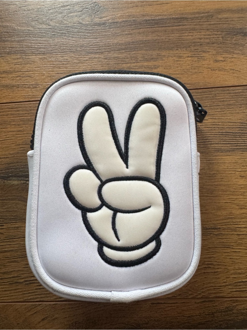 Disneyland Resort Bag